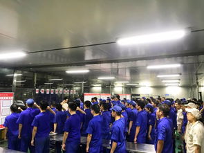 重預防 抓落實 提能力 保安全——十一部總裝深圳工廠底盤工段專項安全教育四部曲暨舞臺表演安全保護服務
